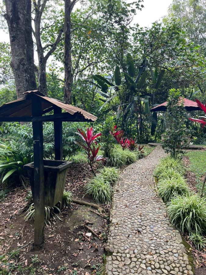 Готель Spanglish Colombia Херіко Екстер'єр фото